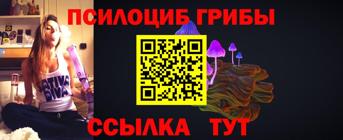 Галлюциногенные грибы Psilocybe  Вход с VPN  Луховицы  Псилоцибиновые грибы прущие грибы 